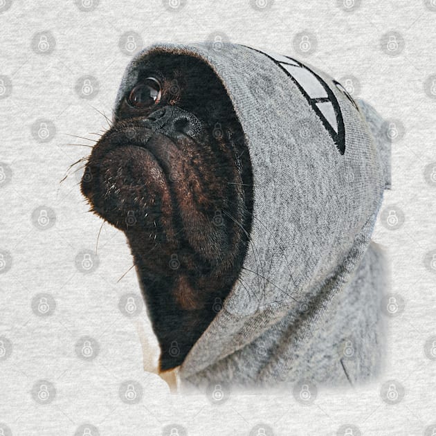 Cute Dog in a hoodie by PGP